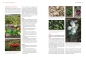 Preview: Bio-Schnittblumen-aus-dem-eigenen-Garten